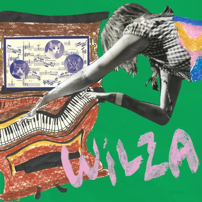 Wilza